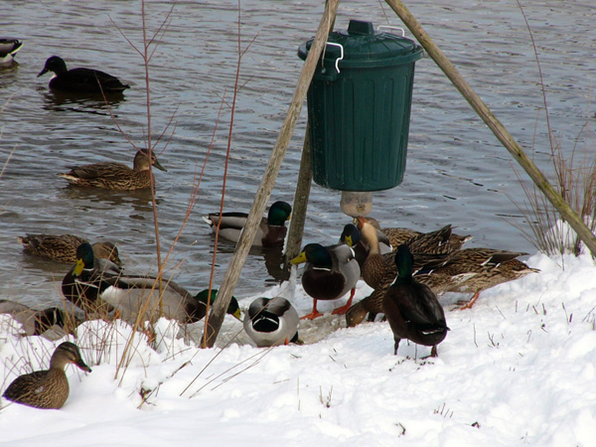 Einfach, überzeugend, praktikabel